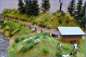 foto diorama